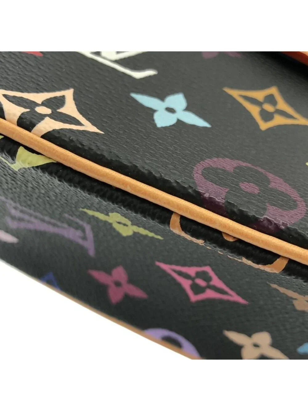Louis Vuitton Multicolor Sologne Shoulder Bag